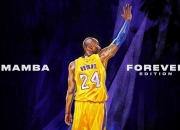 开云体育APP下载-皮克进攻端无人可挡，奥地利战术革新力克乌克兰