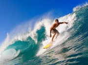 开云官方app入口-蓝色狂潮席卷东北，湖人横扫辽宁，塔图姆演绎王者降维打击