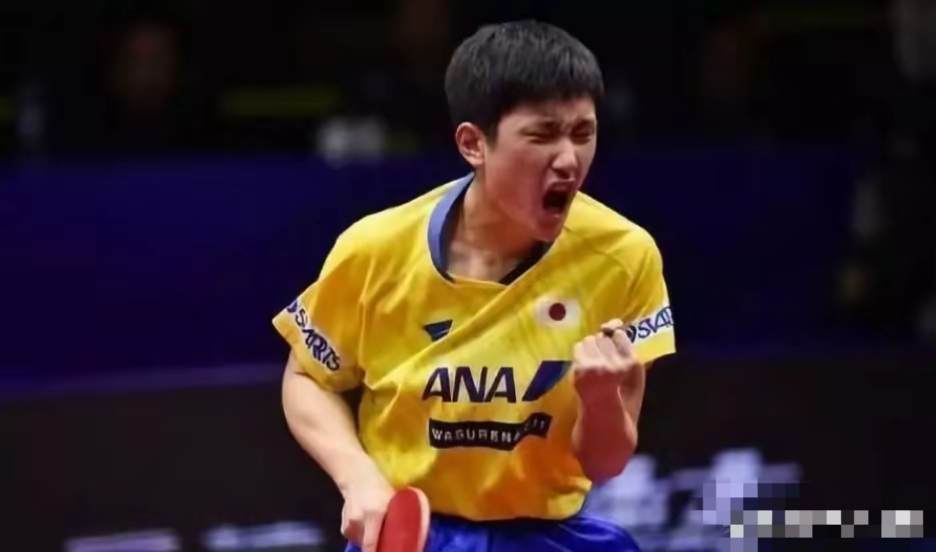 法国乒乓球队翻盘日本乒乓球队,许昕关键制胜的简单介绍 法国乒乓球队翻盘日本乒乓球队,许昕关键制胜的简单介绍