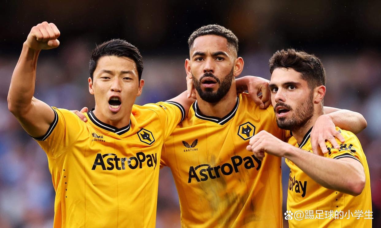 狼队主场告捷!成功战胜对手,保持不败的简单介绍 狼队主场告捷!成功战胜对手,保持不败的简单介绍