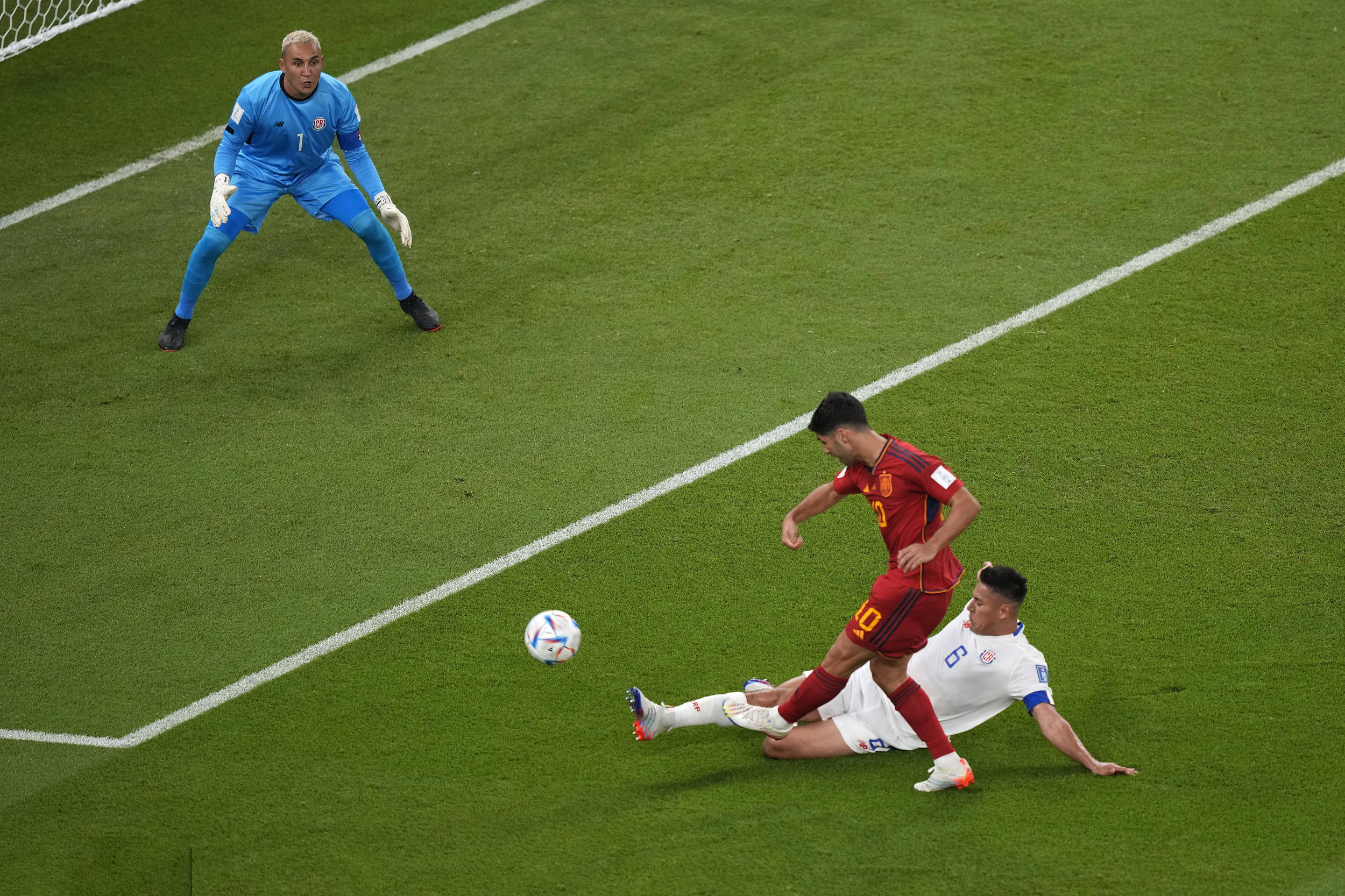 韩国横扫西班牙，加维打破历史纪录的简单介绍