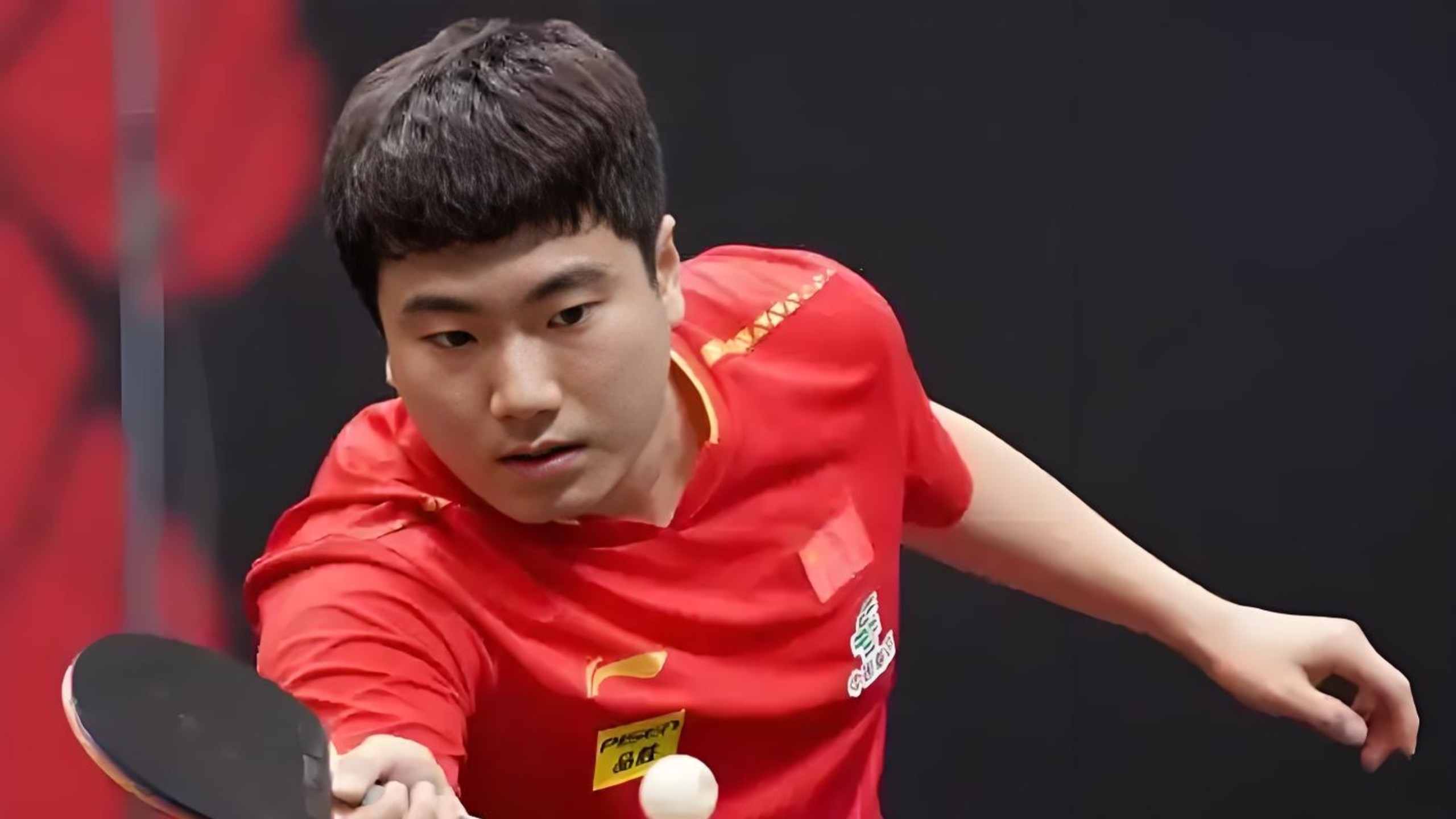 波兰队力克葡萄牙队，林高远点燃赛场的简单介绍